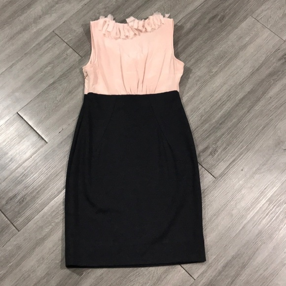 Taylor Petite Pink Silk Frayed Ruffle Neck Sleeveless Dress size 2P - Picture 5 of 7